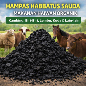 HAMPAS(ORGANIK) HABBATUS SAUDA SAADI (ANALISIS UPM)