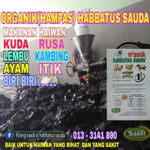 HAMPAS(ORGANIK) HABBATUS SAUDA SAADI (ANALISIS UPM)