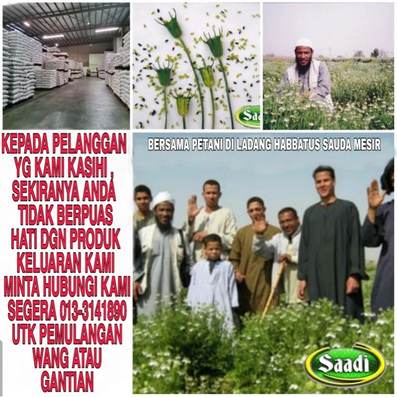 MINYAK HABBATUS SAUDA 65ML SPRAY - Image 2